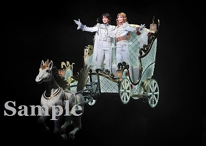 龍 明日海 舞台写真／月組東京公演『ベルサイユのばら』―オスカルとアンドレ編―