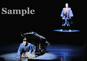 壮・夏美 舞台写真／雪組中日劇場公演『若き日の唄は忘れじ』『Shining Rhythm!』