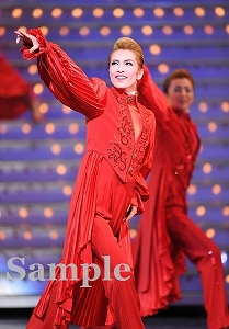 早霧 せいな 舞台写真／雪組大劇場公演『ベルサイユのばら』―フェルゼン編―