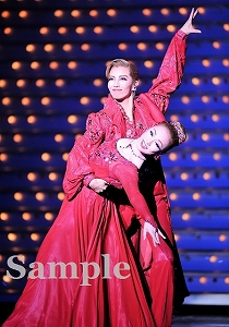 壮・愛加 舞台写真／雪組大劇場公演『ベルサイユのばら』―フェルゼン編―