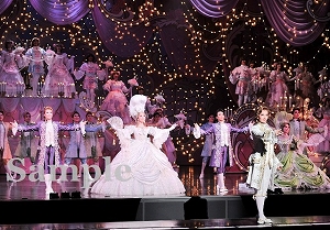 壮 他 舞台写真／雪組大劇場公演『ベルサイユのばら』―フェルゼン編―