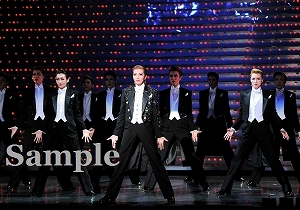 壮 他 舞台写真／雪組大劇場公演『ベルサイユのばら』―フェルゼン編―