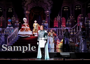 壮 他 舞台写真／雪組東京公演『ベルサイユのばら』―フェルゼン編―