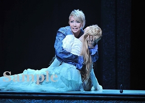 柚希・夢咲 舞台写真／星組東京公演『ロミオとジュリエット』