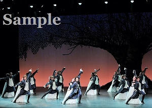 鳳翔 他 舞台写真／雪組バウホール公演『春雷』