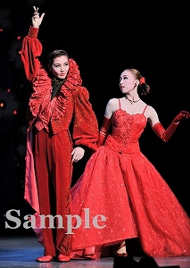 壮・愛加 舞台写真／雪組全国ツアー公演『若き日の唄は忘れじ』『ナルシス・ノアールII』