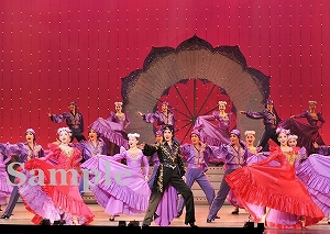 壮 他 舞台写真／雪組全国ツアー公演『若き日の唄は忘れじ』『ナルシス・ノアールII』