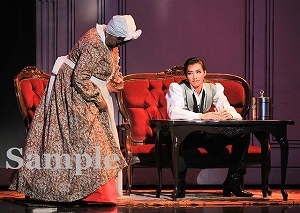 凰稀・汝鳥 舞台写真／宙組東京公演『風と共に去りぬ』