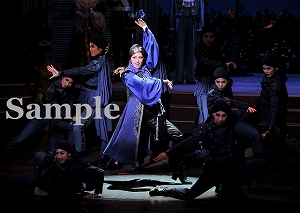 北翔 他 舞台写真／月組梅田芸術劇場シアター・ドラマシティ公演『THE MERRY WIDOW』