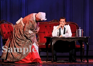 轟・汝鳥 舞台写真／月組梅田芸術劇場メインホール公演『風と共に去りぬ』