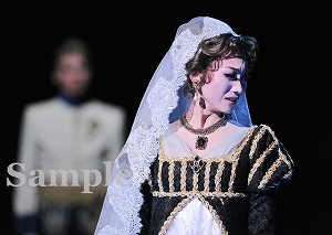 夢咲ねね 舞台写真／星組東京公演『眠らない男・ナポレオン ―愛と栄光の涯（はて）に―』