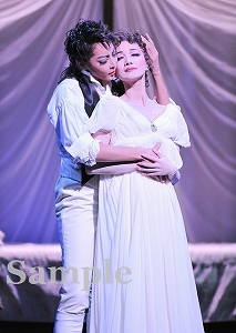 柚希・夢咲 舞台写真／星組東京公演『眠らない男・ナポレオン ―愛と栄光の涯（はて）に―』