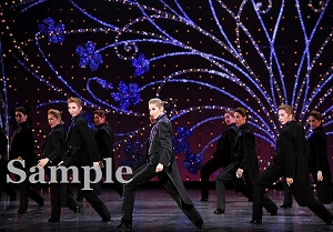 龍 他 舞台写真／月組大劇場公演『宝塚をどり』『明日への指針 ―センチュリー号の航海日誌―』『TAKARAZUKA 花詩集100!!』