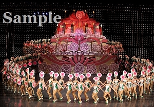 100本のバラ 舞台写真／月組大劇場公演『宝塚をどり』『明日への指針 ―センチュリー号の航海日誌―』『TAKARAZUKA 花詩集100!!』