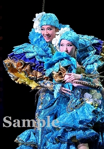 凰稀・実咲 特別出演舞台写真／月組大劇場公演『宝塚をどり』『明日への指針 ―センチュリー号の航海日誌―』『TAKARAZUKA 花詩集100!!』