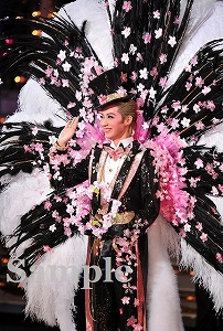 凰稀かなめ ポケットスチール／月組大劇場公演『宝塚をどり』『明日への指針 ―センチュリー号の航海日誌―』『TAKARAZUKA 花詩集100!!』