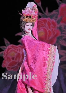 愛希 れいか 舞台写真／月組東京公演『宝塚をどり』『明日への指針 ―センチュリー号の航海日誌―』『TAKARAZUKA 花詩集100!!』