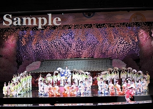 龍 他 舞台写真／月組東京公演『宝塚をどり』『明日への指針 ―センチュリー号の航海日誌―』『TAKARAZUKA 花詩集100!!』