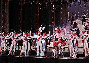 龍 他 舞台写真／月組東京公演『宝塚をどり』『明日への指針 ―センチュリー号の航海日誌―』『TAKARAZUKA 花詩集100!!』