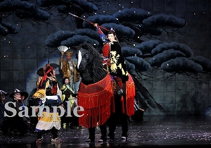 壮 他 舞台写真／雪組大劇場公演『一夢庵風流記　前田慶次』『My Dream TAKARAZUKA』