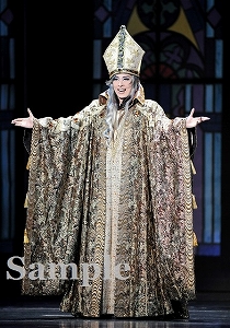 明日海りお 舞台写真／花組大劇場公演『エリザベート ―愛と死の輪舞（ロンド）―』