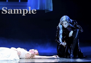 明日海・蘭乃 舞台写真／花組大劇場公演『エリザベート ―愛と死の輪舞（ロンド）―』