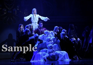 明日海 他 舞台写真／花組大劇場公演『エリザベート ―愛と死の輪舞（ロンド）―』