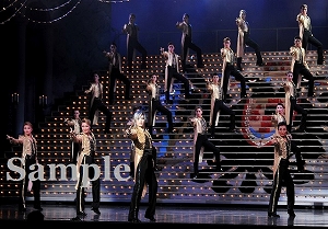 明日海 他 舞台写真／花組大劇場公演『エリザベート ―愛と死の輪舞（ロンド）―』