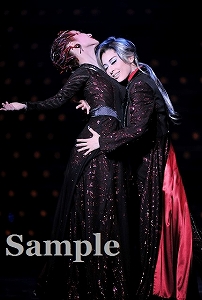 明日海・蘭乃 ポケットスチール／花組大劇場公演『エリザベート―愛と死の輪舞（ロンド）―』