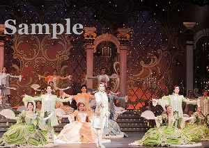 朝夏 他 舞台写真／宙組全国ツアー公演『ベルサイユのばら ―フェルゼンとマリー・アントワネット編―』