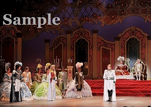 朝夏 他 舞台写真／宙組全国ツアー公演『ベルサイユのばら ―フェルゼンとマリー・アントワネット編―』