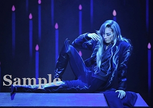 明日海りお 舞台写真／花組東京公演『エリザベート ―愛と死の輪舞（ロンド）―』