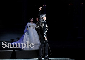 明日海 ほか 舞台写真／花組東京公演『エリザベート ―愛と死の輪舞（ロンド）―』