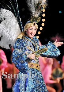 凰稀かなめ 舞台写真／宙組大劇場公演『白夜の誓い ―グスタフIII世、誇り高き王の戦い―』『PHOENIX 宝塚!! ―蘇る愛―』