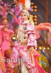 七海ひろき 舞台写真／宙組大劇場公演『白夜の誓い ―グスタフIII世、誇り高き王の戦い―』『PHOENIX 宝塚!! ―蘇る愛―』