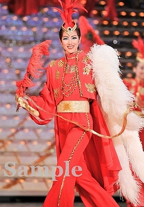 七海ひろき 舞台写真／宙組大劇場公演『白夜の誓い ―グスタフIII世、誇り高き王の戦い―』『PHOENIX 宝塚!! ―蘇る愛―』