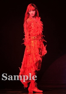 凰稀かなめ 舞台写真／宙組東京公演「白夜の誓い－グスタフIII世、誇り高き王の戦い－」「PHOENIX 宝塚!! ー蘇る愛ー」