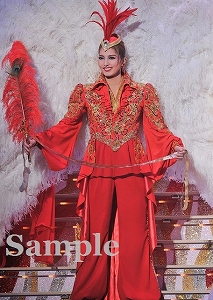 朝夏まなと 舞台写真／宙組東京公演「白夜の誓い－グスタフIII世、誇り高き王の戦い－」「PHOENIX 宝塚!! ー蘇る愛ー」