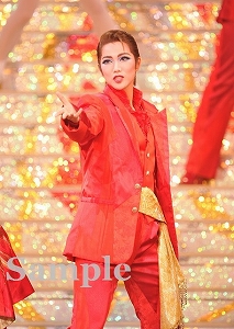 七海ひろき 舞台写真／宙組東京公演「白夜の誓い－グスタフIII世、誇り高き王の戦い－」「PHOENIX 宝塚!! ー蘇る愛ー」