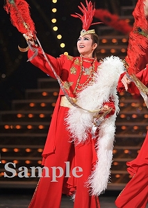 七海ひろき 舞台写真／宙組東京公演「白夜の誓い－グスタフIII世、誇り高き王の戦い－」「PHOENIX 宝塚!! ー蘇る愛ー」