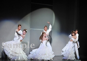 柚希 他 舞台写真／星組大劇場公演『黒豹（くろひょう）の如（ごと）く』『Dear DIAMOND!!』