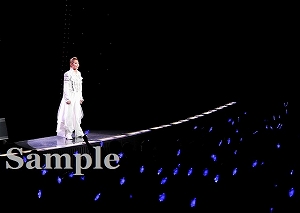 柚希礼音 舞台写真／『柚希礼音サヨナラショー』