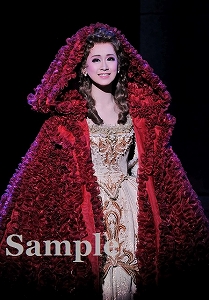 愛希れいか 舞台写真／月組大劇場公演『1789－バスティーユの恋人たち－』