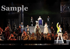 龍 他 舞台写真／月組大劇場公演『1789－バスティーユの恋人たち－』