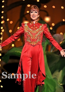 北翔海莉 舞台写真／星組全国ツアー公演『大海賊』『Amour それは…』