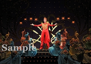 北翔 他 舞台写真／星組全国ツアー公演『大海賊』『Amour それは…』