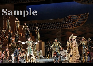 朝夏 ほか 舞台写真／宙組東京公演『王家に捧ぐ歌』