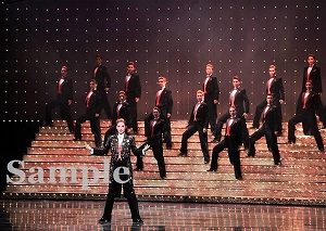 明日海 ほか 舞台写真／花組梅田芸術劇場公演『ベルサイユのばら－フェルゼンとマリー・アントワネット編－』『宝塚幻想曲（タカラヅカ ファンタジア）』