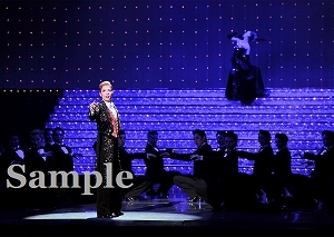 明日海 ほか 舞台写真／花組梅田芸術劇場公演『ベルサイユのばら－フェルゼンとマリー・アントワネット編－』『宝塚幻想曲（タカラヅカ ファンタジア）』