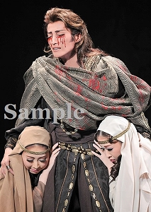 轟 姫咲 陽海 舞台写真／専科バウホール公演『オイディプス王』